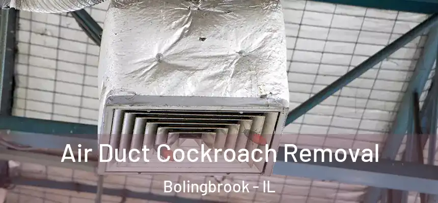  Air Duct Cockroach Removal Bolingbrook - IL