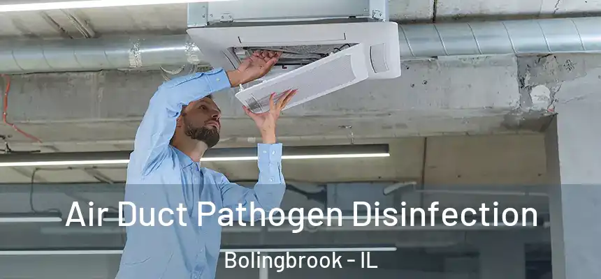  Air Duct Pathogen Disinfection Bolingbrook - IL
