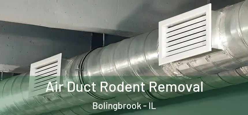  Air Duct Rodent Removal Bolingbrook - IL