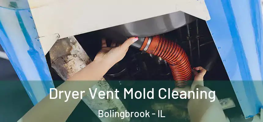  Dryer Vent Mold Cleaning Bolingbrook - IL