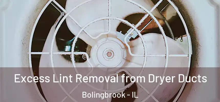 Excess Lint Removal from Dryer Ducts Bolingbrook - IL