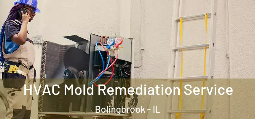 HVAC Mold Remediation Service Bolingbrook - IL