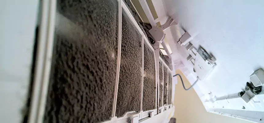 Preventive Air Duct Bacteria Removal in Bolingbrook