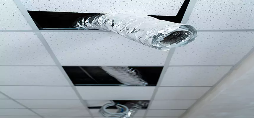 Our Air Duct Pet Hair Removal Services in Bolingbrook, IL