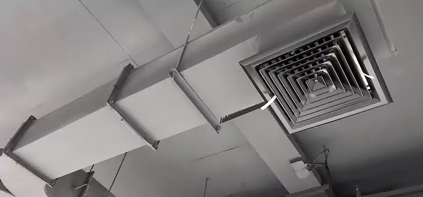 Restorative Allergy Relief Vent Cleaning – Coil, Blower & Housing Detail in Bolingbrook