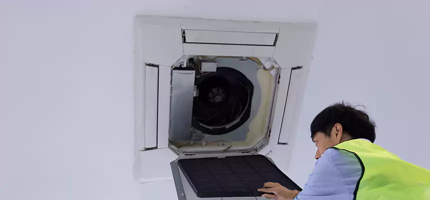 Our Dryer Vent Sanitization Service Services in Bolingbrook, IL