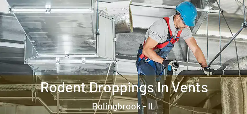  Rodent Droppings In Vents Bolingbrook - IL