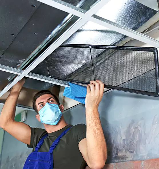 Professional Air Duct Pollen Cleaning in Bolingbrook, IL