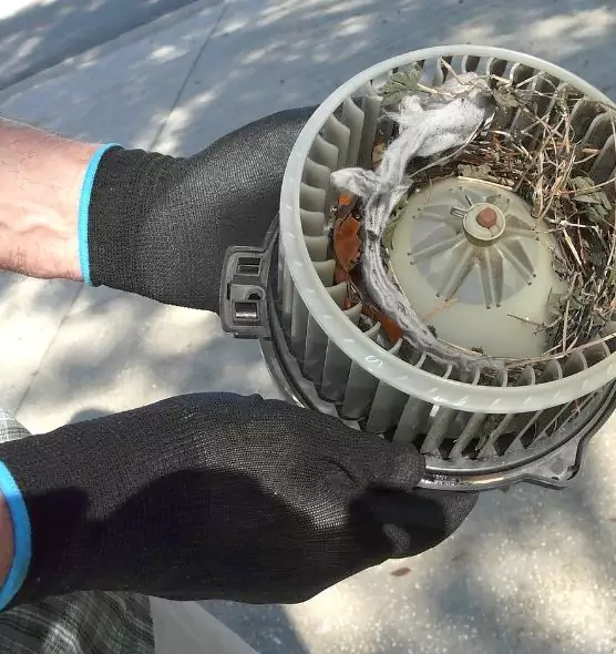 About Air Duct Rat Removal in Bolingbrook, IL