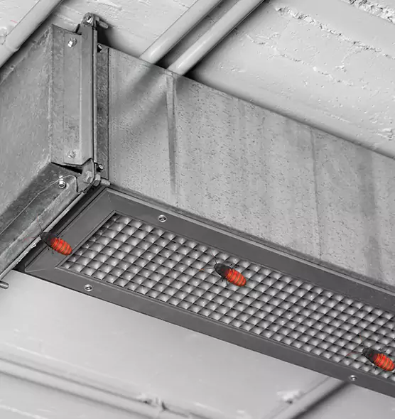 Affordable Insect Removal from Air Ducts in Bolingbrook, IL