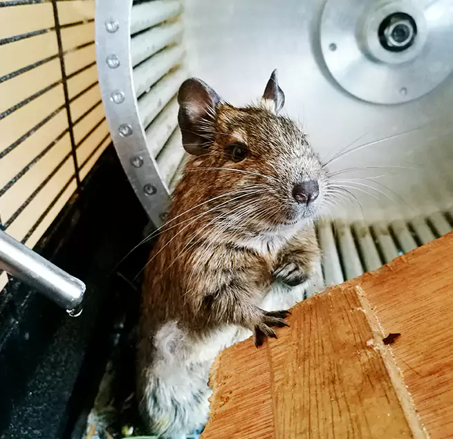 Why Homeowners & Businesses Trust Us Bolingbrook, IL?