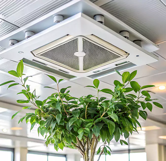 Why Homeowners & Businesses Trust Us in Bolingbrook, IL