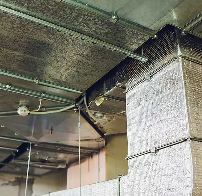 Why Homeowners & Businesses Trust Us in Bolingbrook, IL?