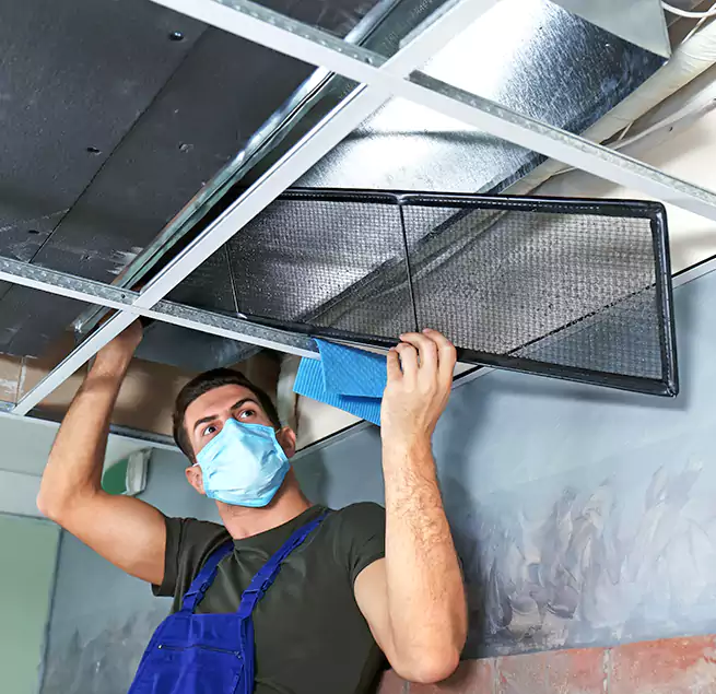 Why Homeowners Businesses Trust Us in Bolingbrook, IL